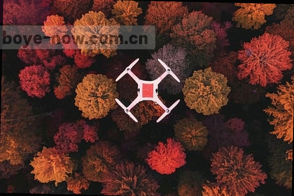 铜质铭牌与纸面纹理交叠的抽象组合，象征约定与秩序